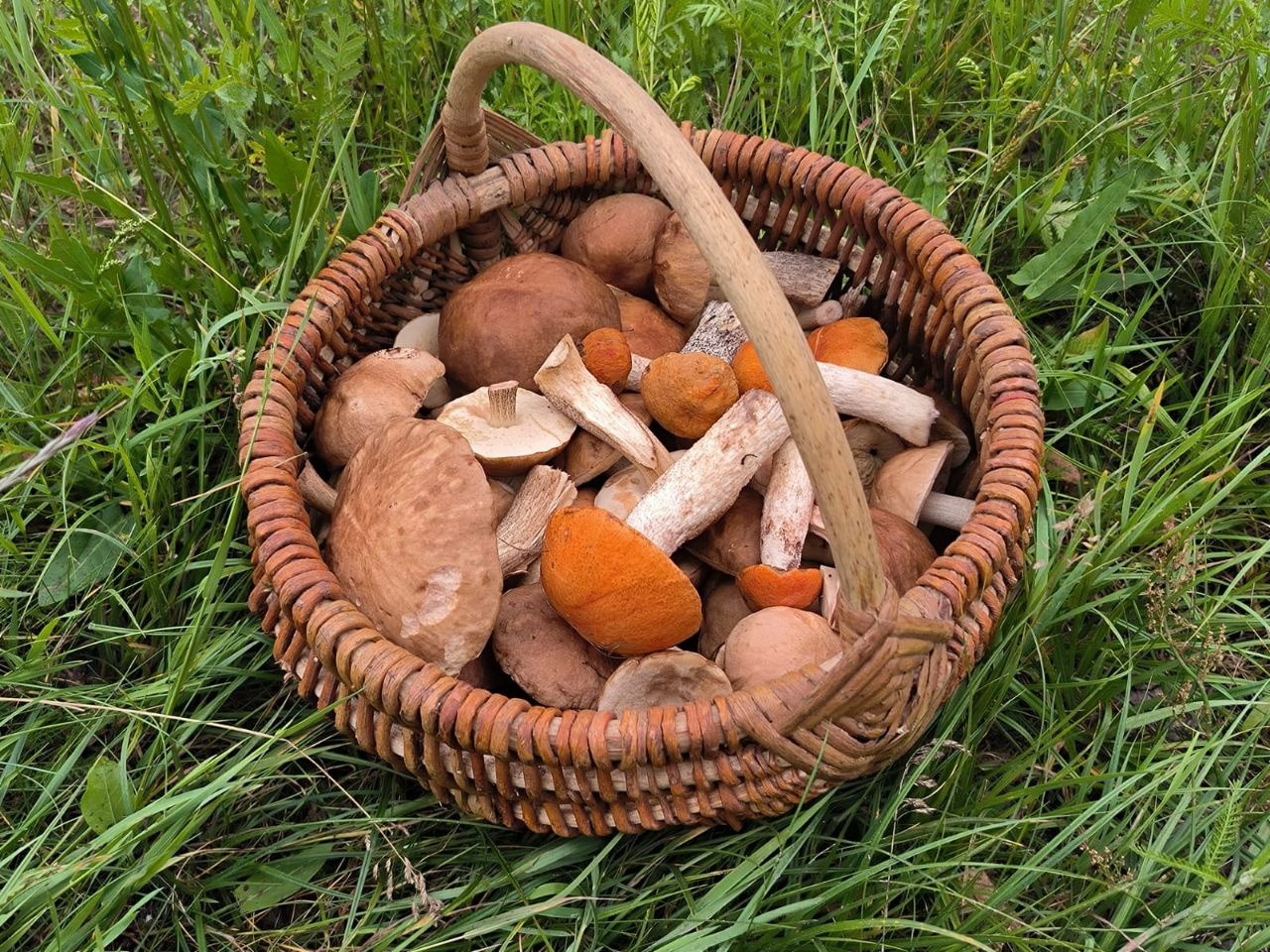 Проект брянской газеты «Красногорская жизнь» «Фотографируют наши читатели