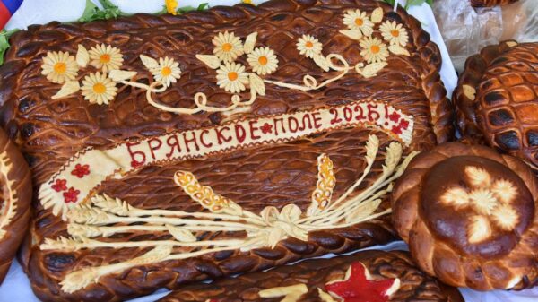 Брянщина является лидером в России по производству картофеля