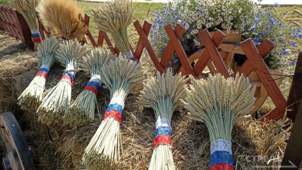 В брянском регионе реализуют масштабные проекты по развитию сельских территорий