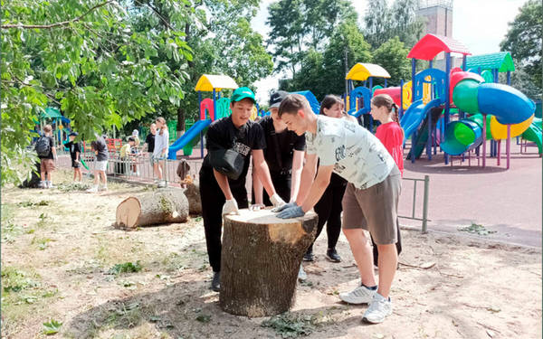 На помощь коммунальщикам в брянском Климово пришло «Движение Первых»