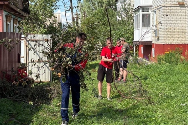 Брянские активисты Волонтерской Роты помогали устранять последствия урагана в Климово