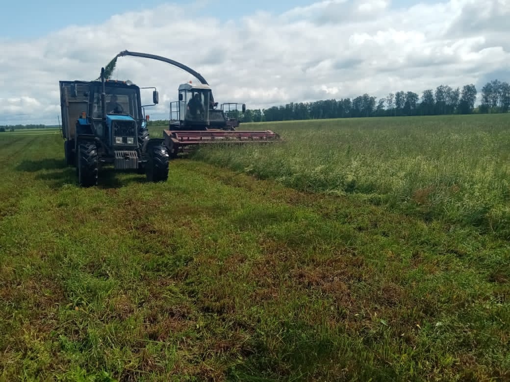 На брянской Красногорщине продолжается заготовка кормов