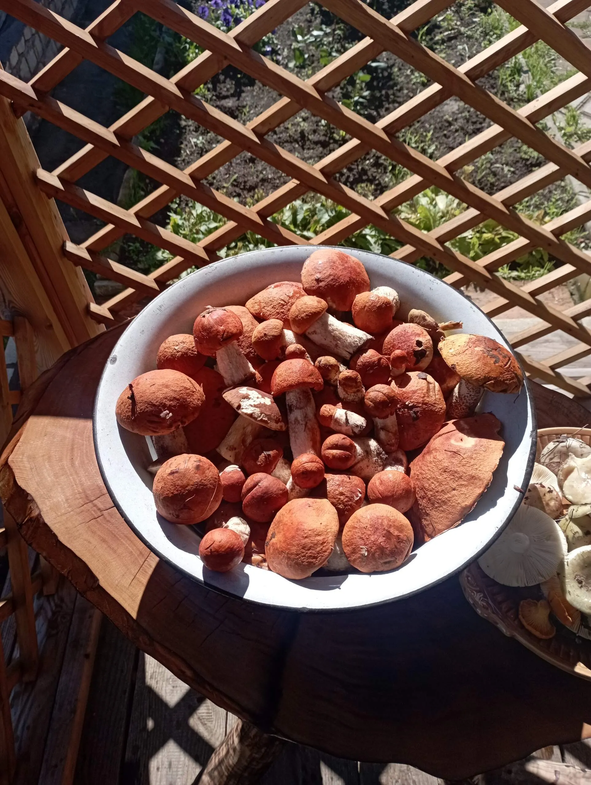 Проект брянской газеты «Красногорская жизнь» «Фотографируют наши читатели