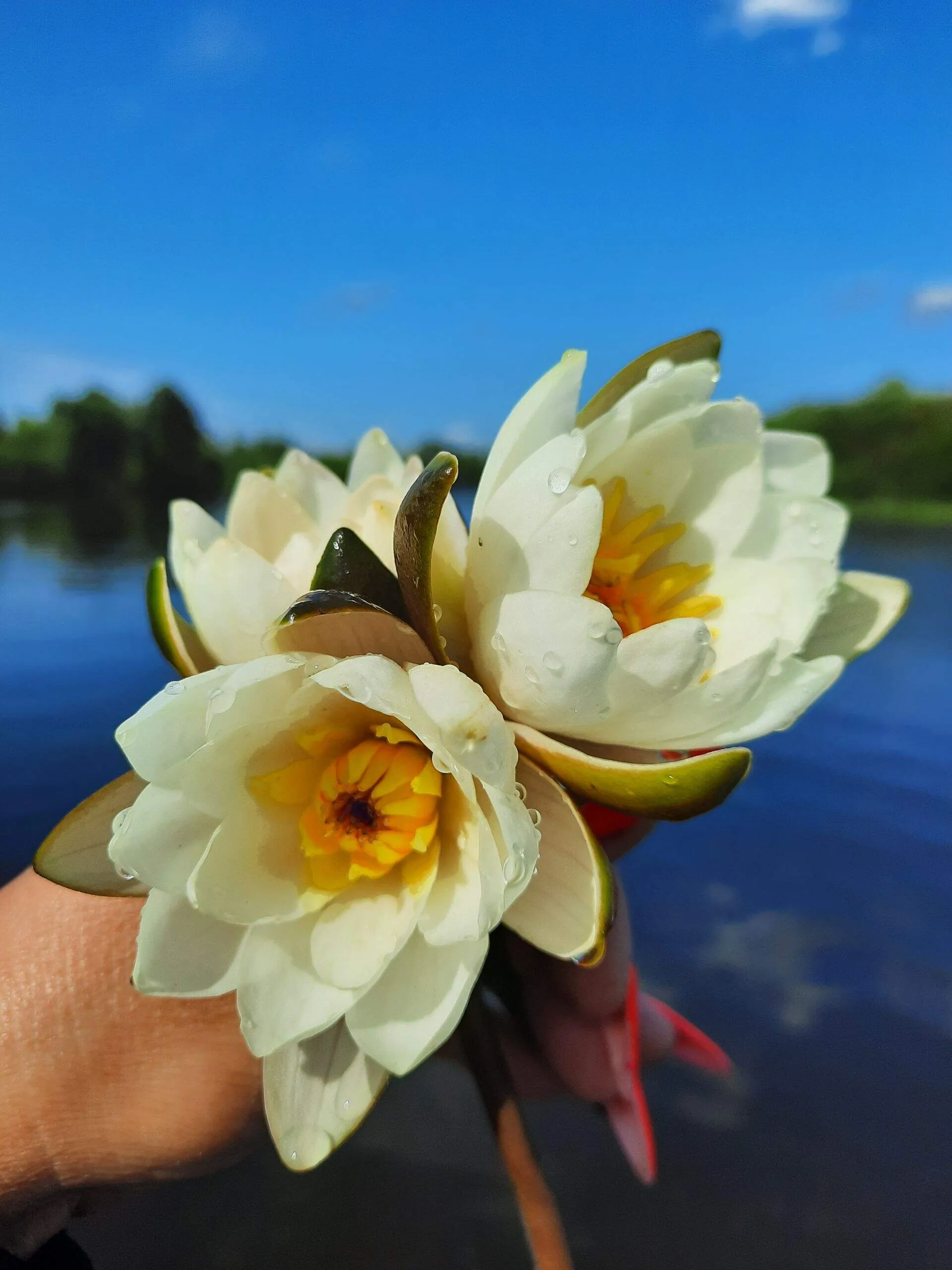 Проект брянской газеты «Красногорская жизнь» «Фотографируют наши читатели»