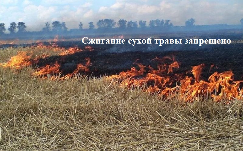 Уважаемые жители Красногорского района!