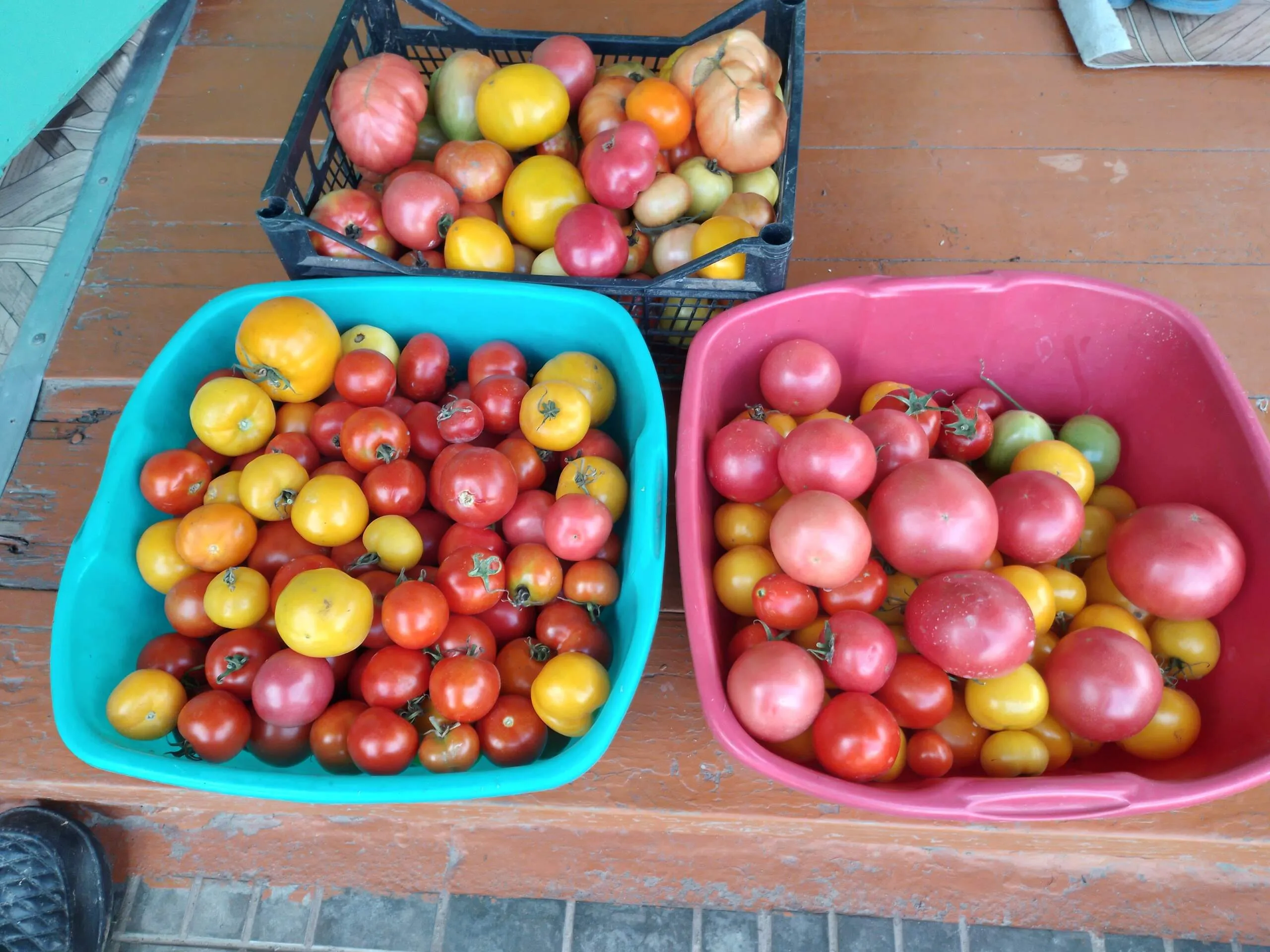 Проект брянской газеты «Красногорская жизнь» «Фотографируют наши читатели»