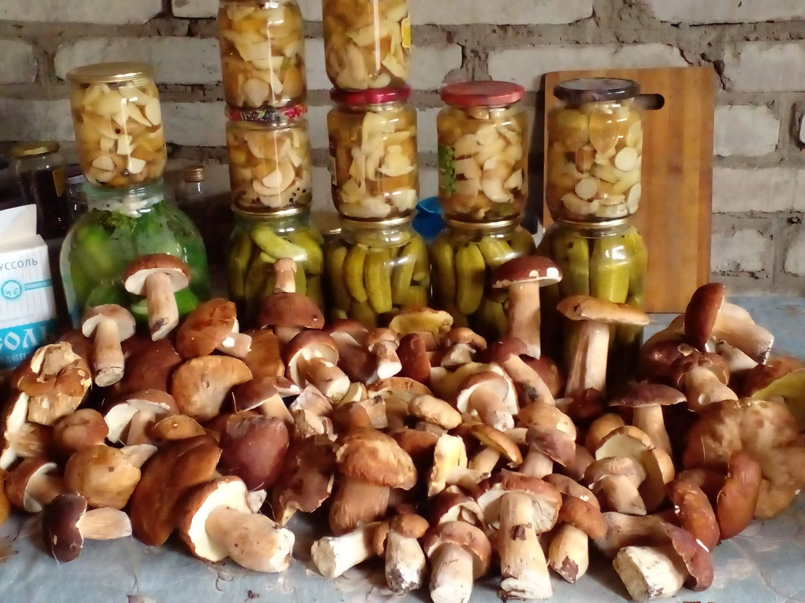 Проект брянской газеты «Красногорская жизнь» «Фотографируют наши читатели»