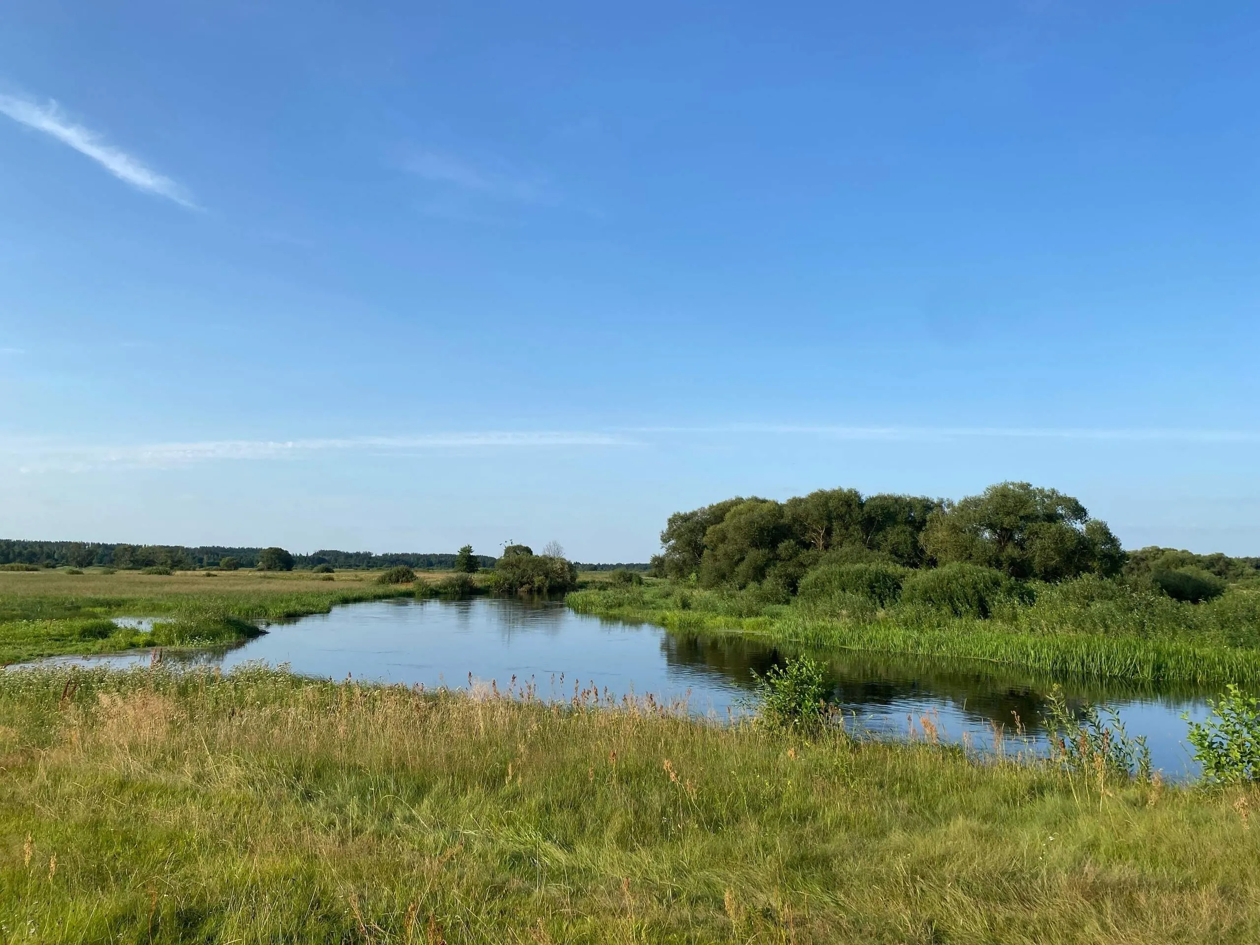 Проект брянской газеты «Красногорская жизнь» «Фотографируют наши читатели»
