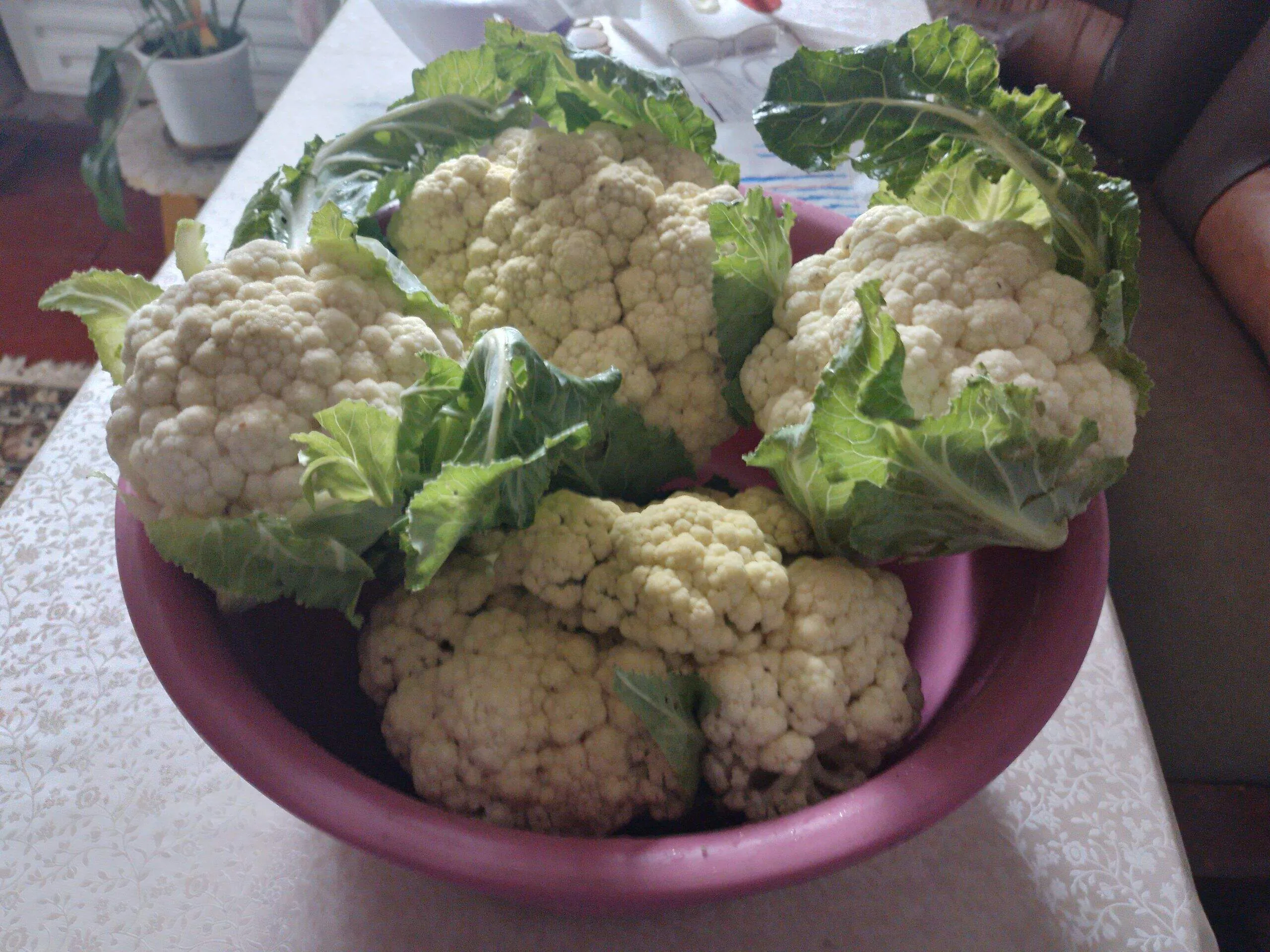 Проект брянской газеты «Красногорская жизнь» «Фотографируют наши читатели»