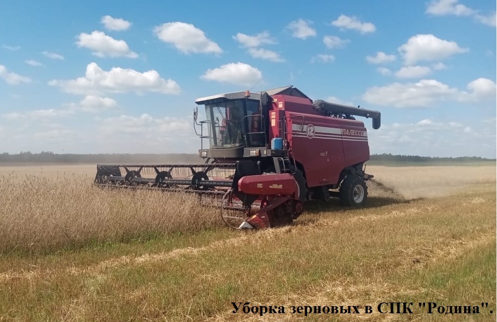 В Красногорском районе Брянщины идёт уборка зерновых культур