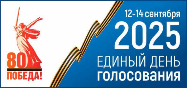 В Брянской области в 20.00 закрылись все избирательные участки
