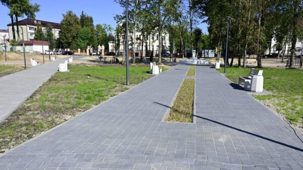 В Клинцах брянского региона возрождается Ленинский парк