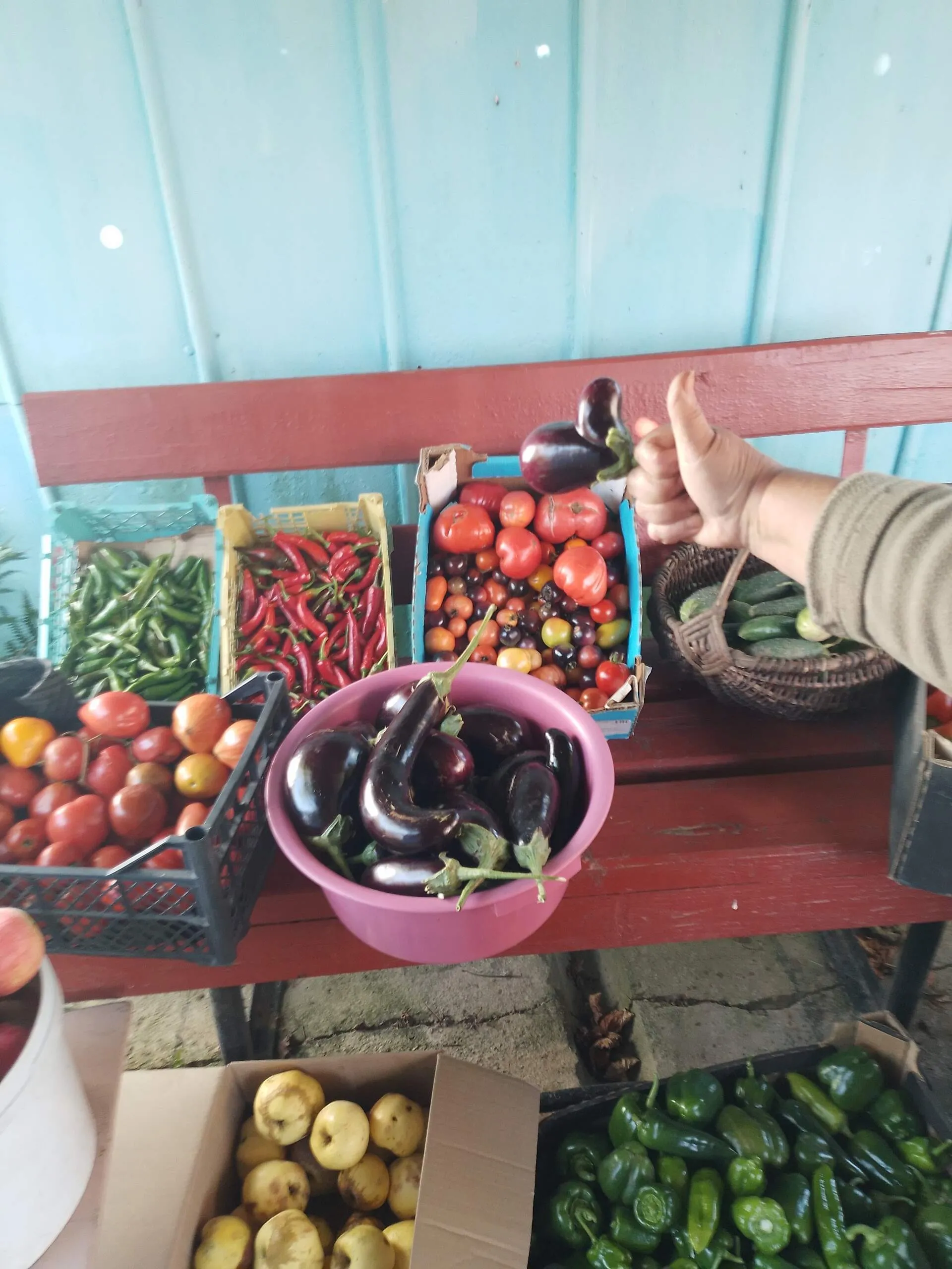 Проект брянской газеты «Красногорская жизнь» «Фотографируют наши читатели»