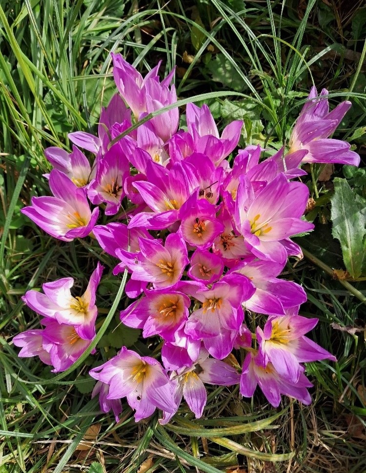 Проект брянской газеты «Красногорская жизнь» «Фотографируют наши читатели»