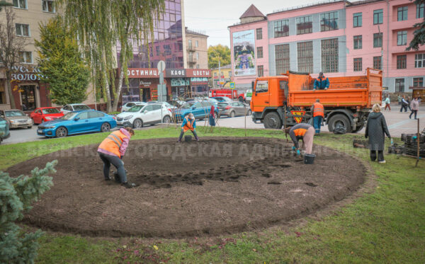 В Брянске посадят более 105 тысяч тюльпанов