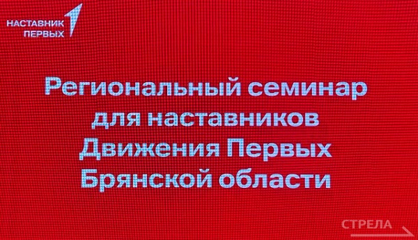 В Брянске  проходит областной  семинар для наставников Движения Первых