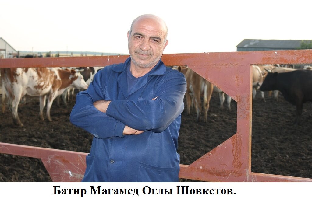  «Это же Батыр!»