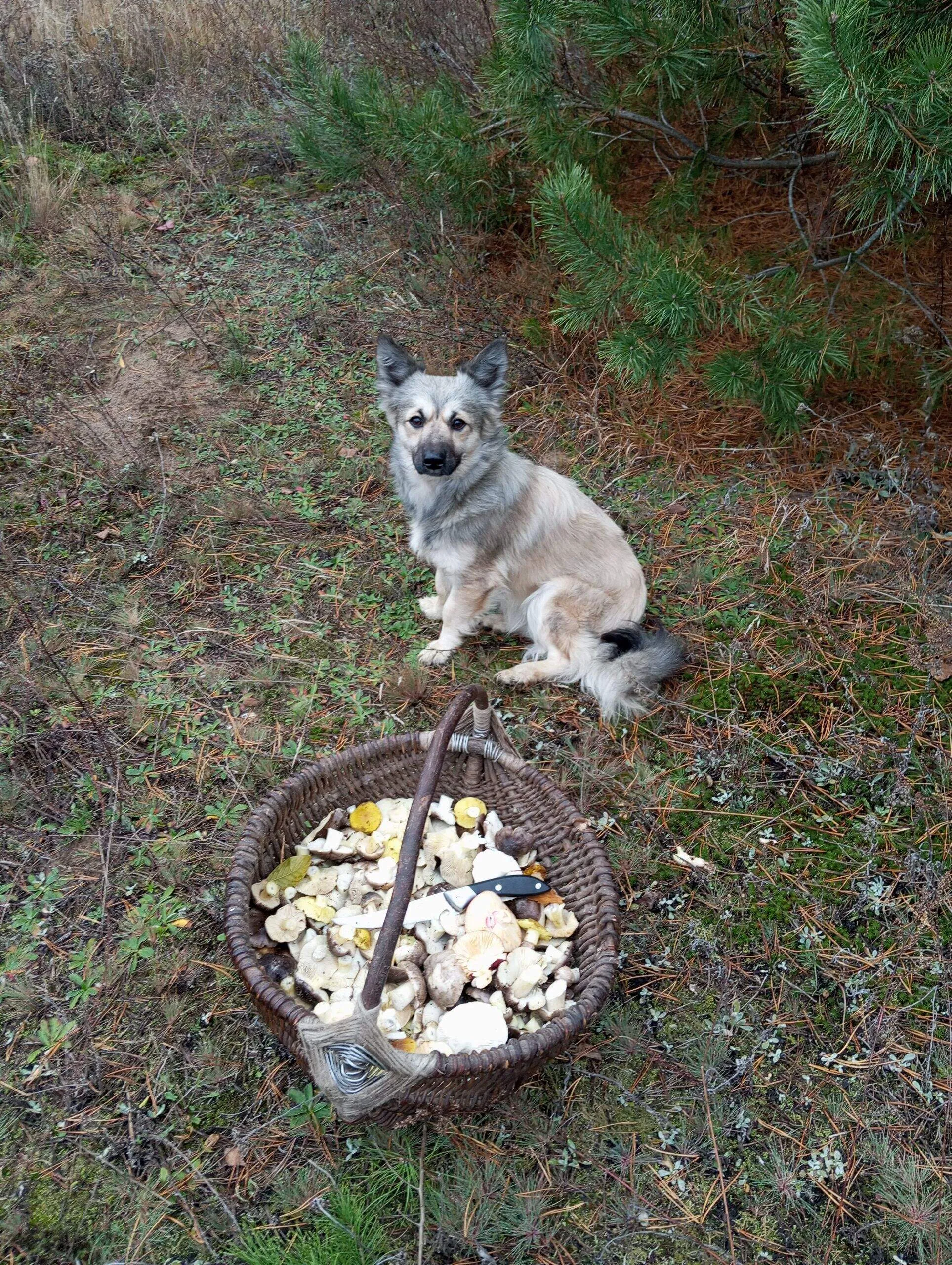Проект брянской газеты «Красногорская жизнь» «Фотографируют наши читатели»