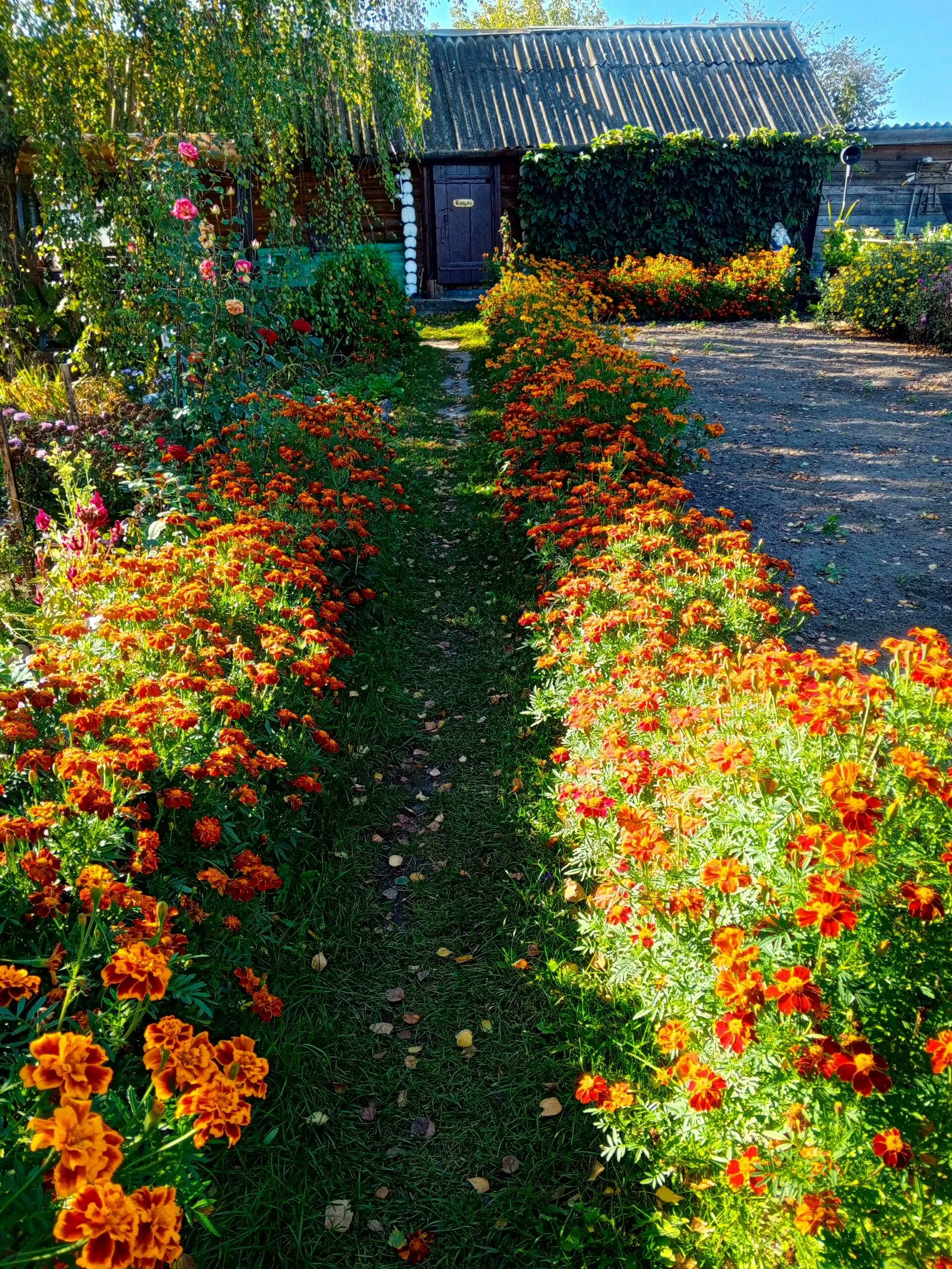 Проект брянской газеты «Красногорская жизнь» «Фотографируют наши читатели»