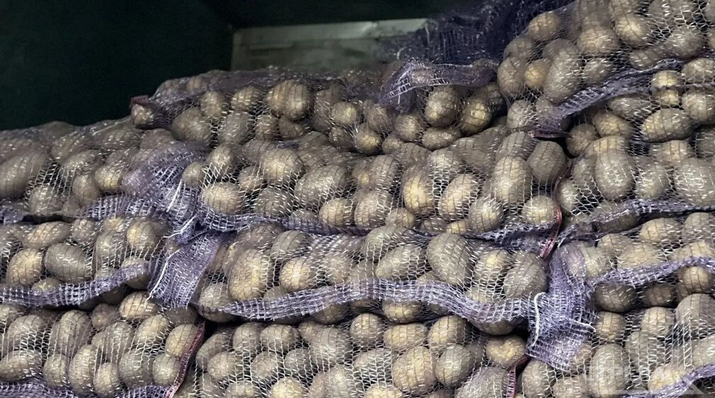 В Брянске продолжают работу ярмарки выходного дня 