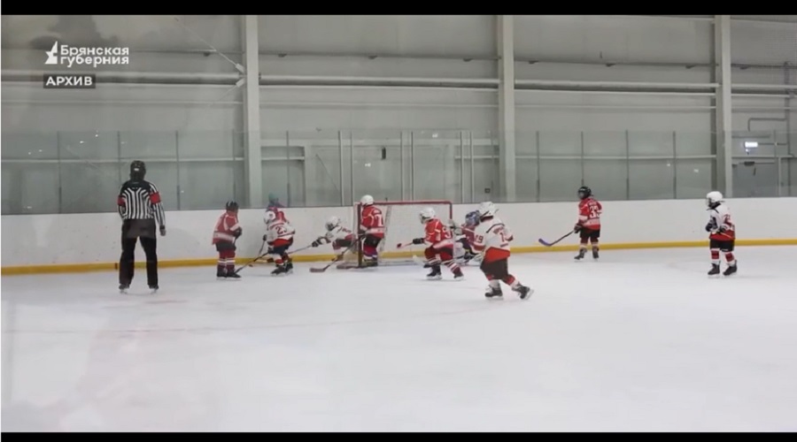 В брянском регионе власти уделили пристальное внимание развитию хоккея