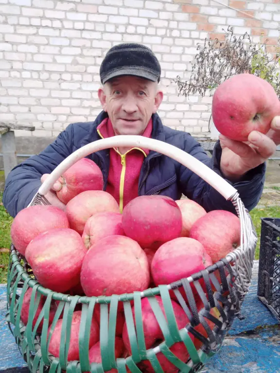 Проект брянской газеты «Красногорская жизнь» «Фотографируют наши читатели»