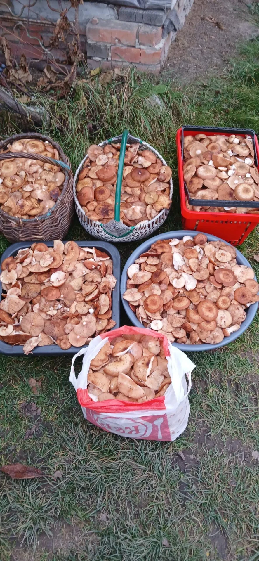 Проект брянской газеты «Красногорская жизнь» «Фотографируют наши читатели»