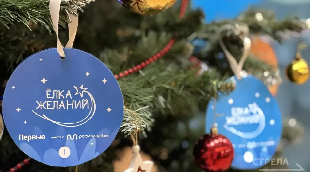 На Брянщине на форуме Движения Первых дан старт акции «Елка желаний»