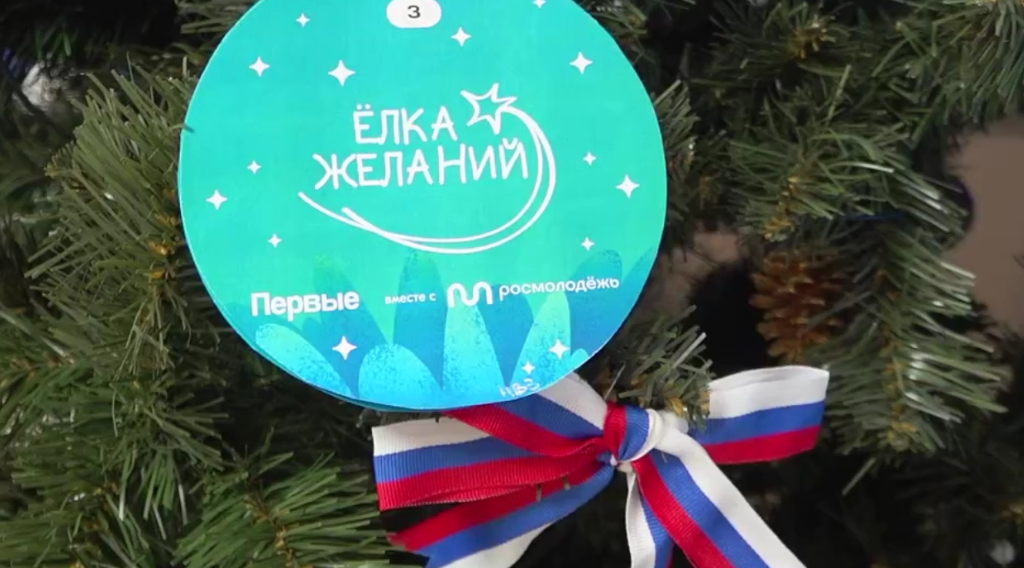 Сенатор РФ Василий Попадайло исполнил новогодние мечты брянских детей