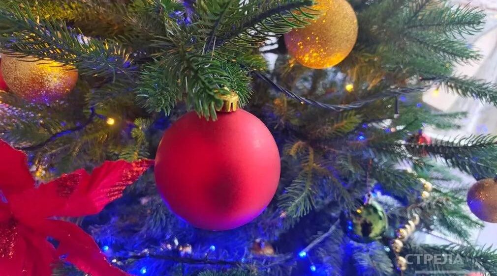 На Брянщине 11 декабря стартует «Елка желаний»