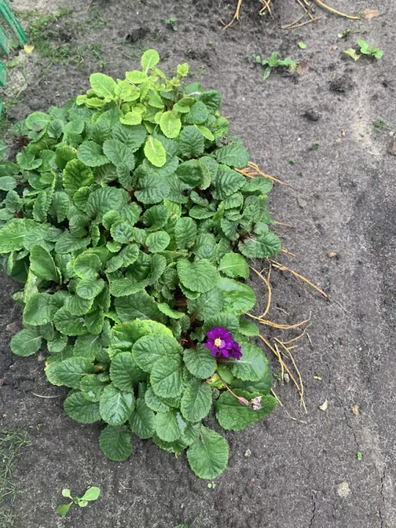 Проект брянской газеты «Красногорская жизнь» «Фотографируют наши читатели!»