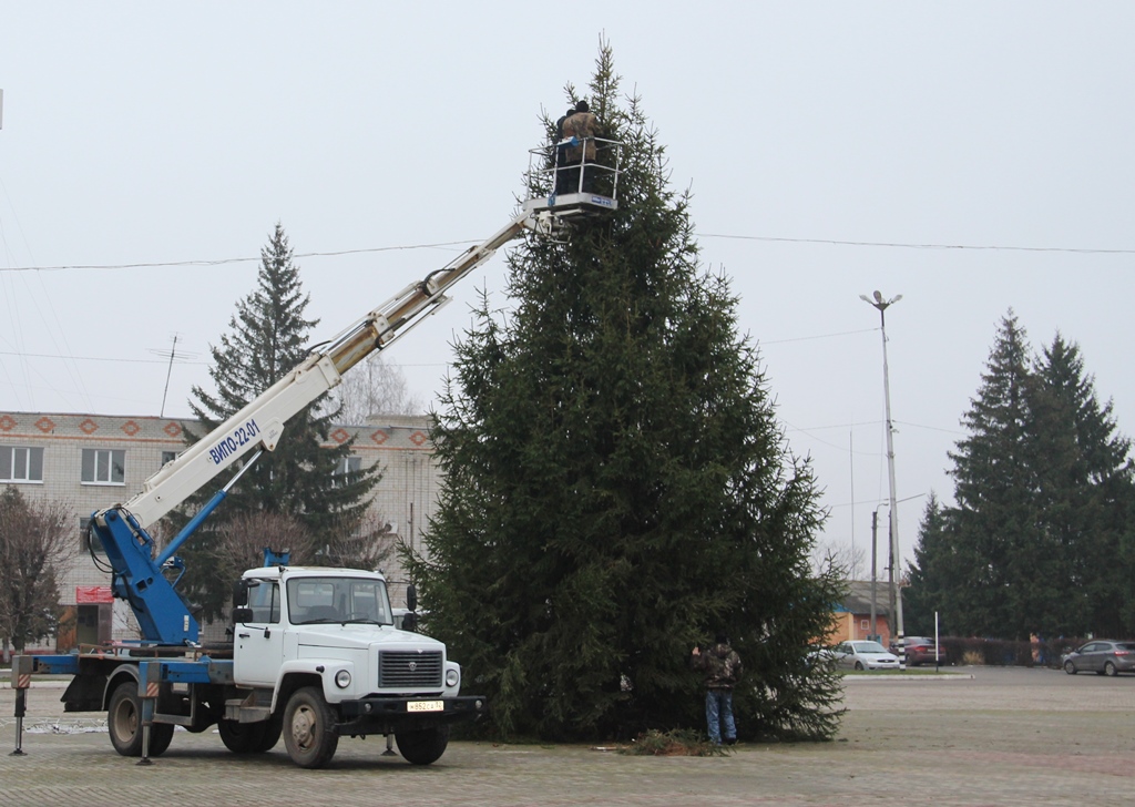 В брянской Красной Горе приступили к украшению новогодней ёлки