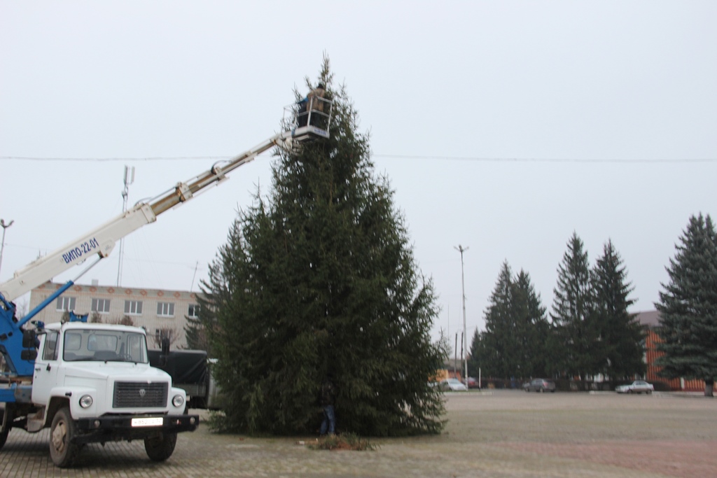 В брянской Красной Горе приступили к украшению новогодней ёлки
