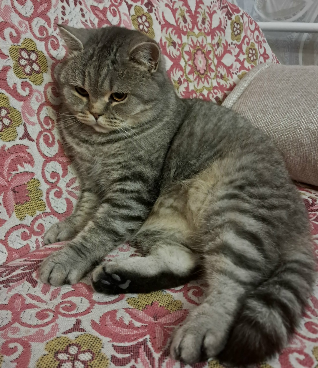 Проект брянской газеты «Красногорская жизнь» «Фотографируют наши читатели»