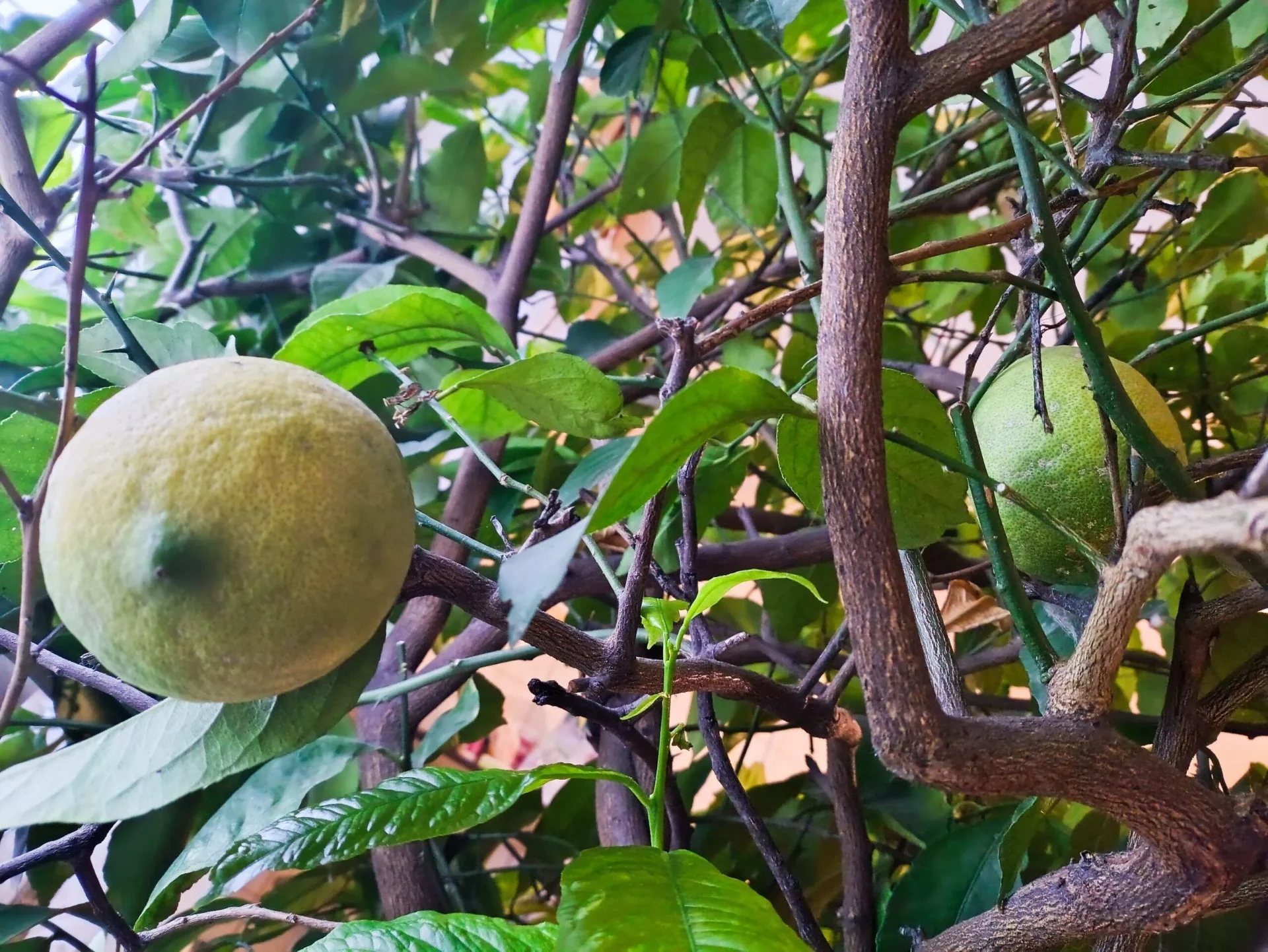 Проект брянской газеты «Красногорская жизнь» «Фотографируют наши читатели»