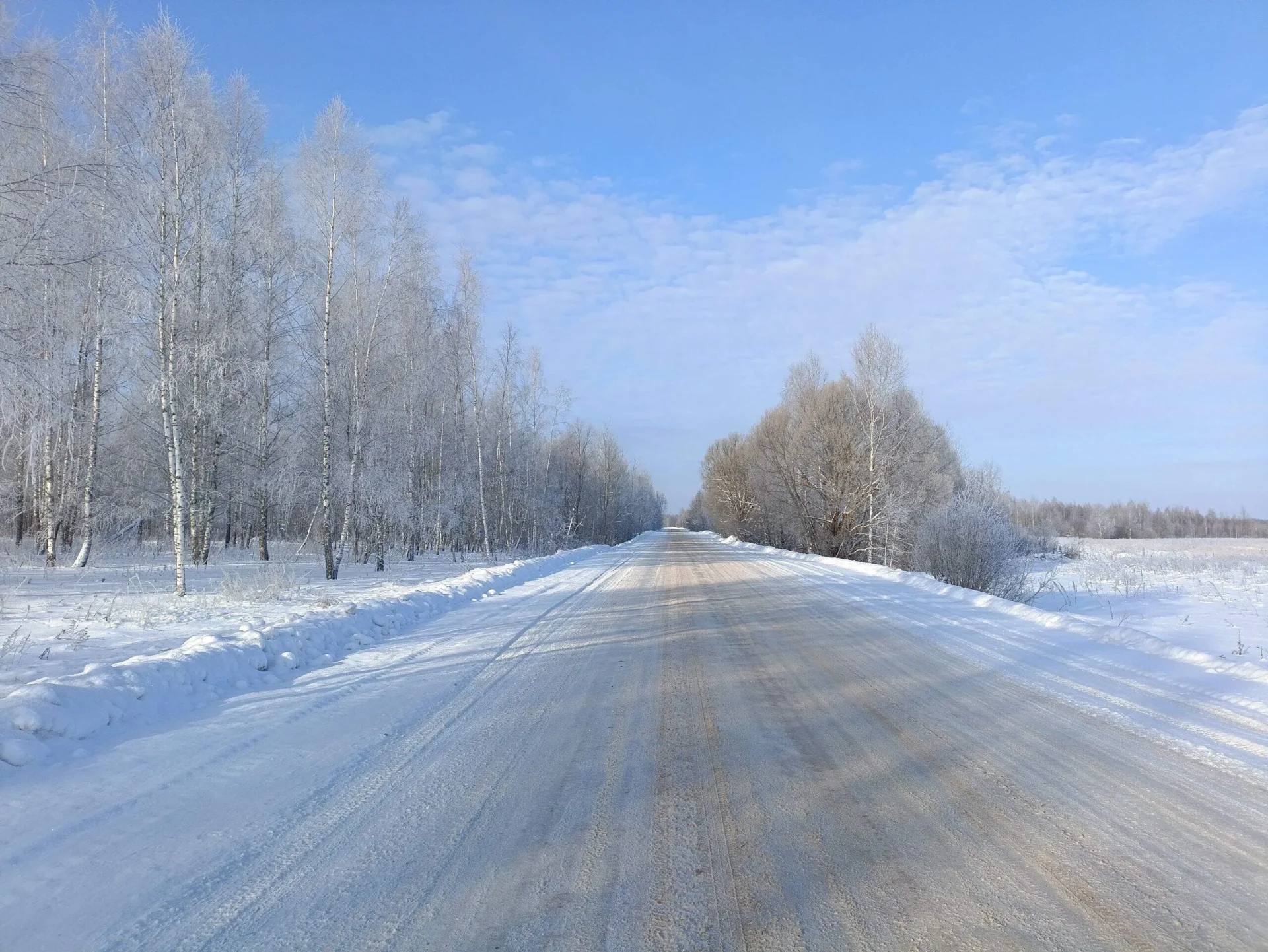 Проект брянской газеты «Красногорская жизнь» «Фотографируют наши читатели»