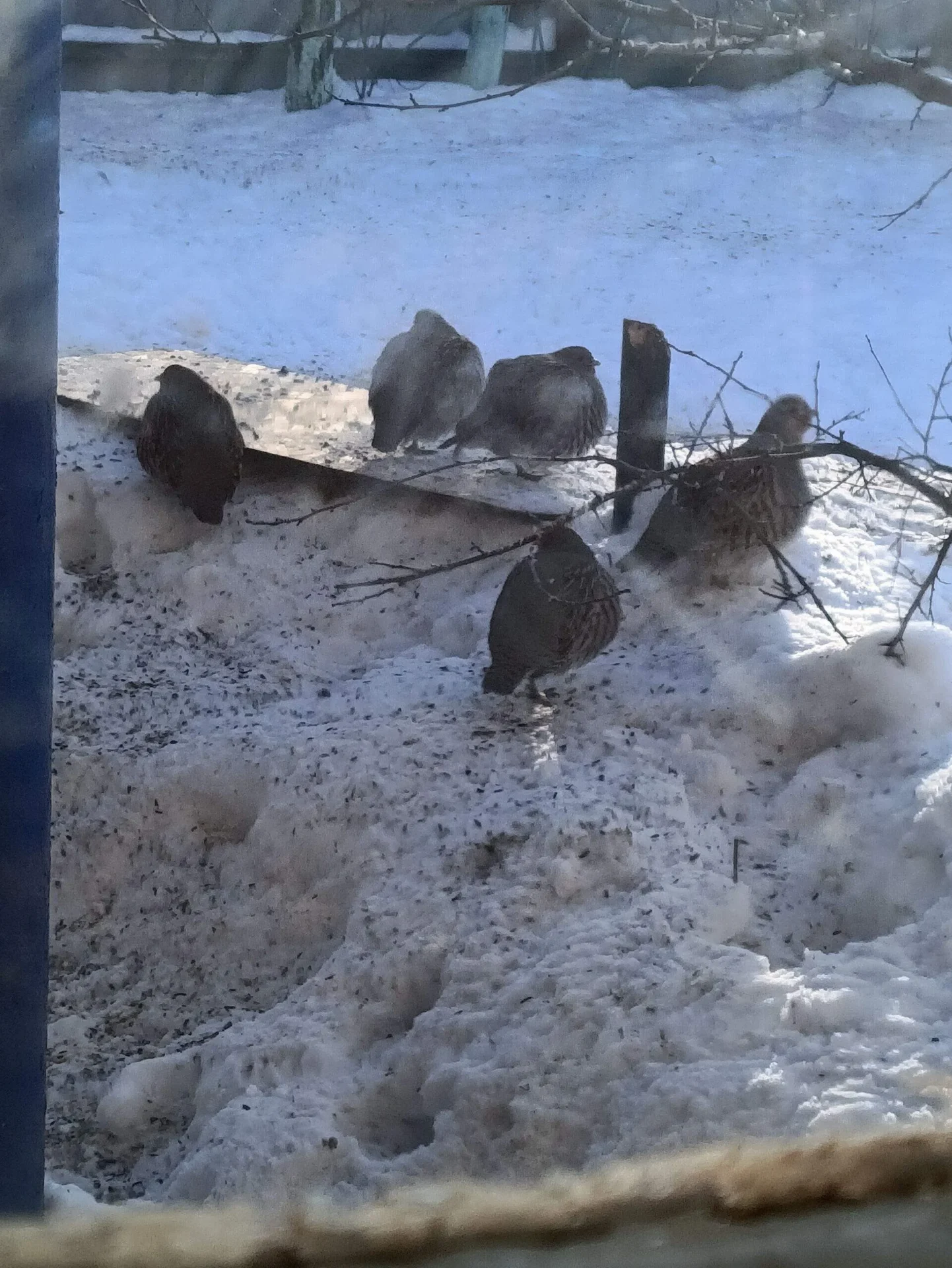 Проект брянской газеты «Красногорская жизнь» «Фотографируют наши читатели»