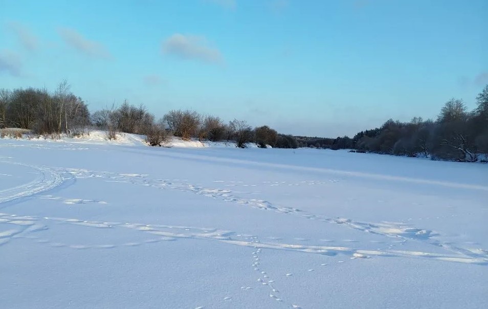 Проект брянской газеты «Красногорская жизнь» «Фотографируют наши читатели»
