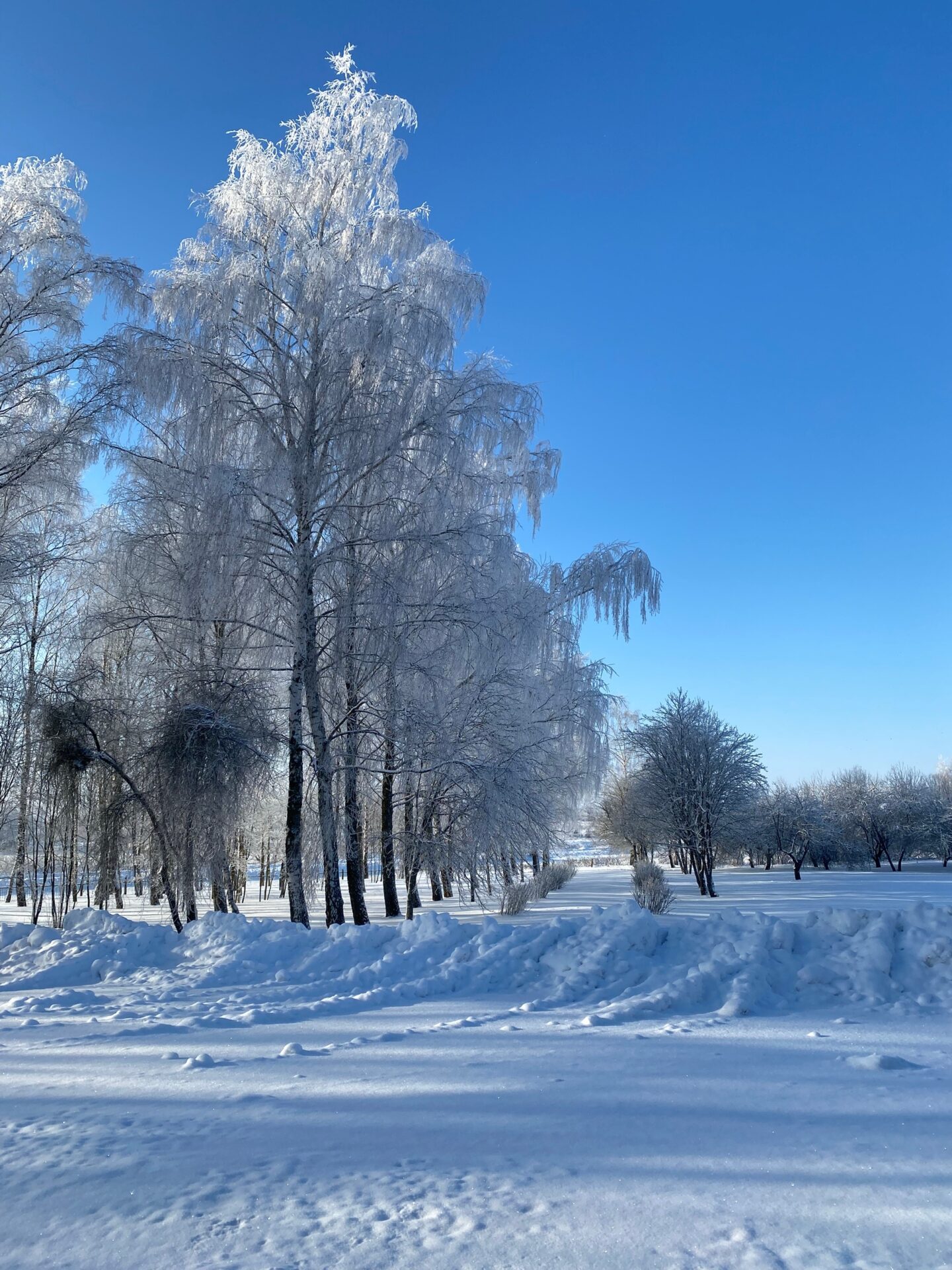 Проект брянской газеты «Красногорская жизнь» «Фотографируют наши читатели»