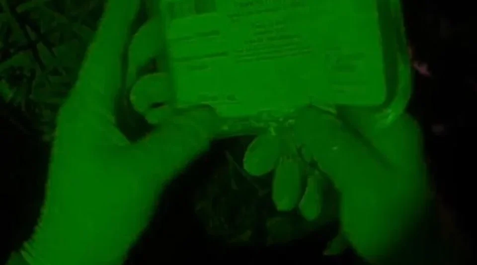 Брянская сухая плазма спасает бойцов на фронте