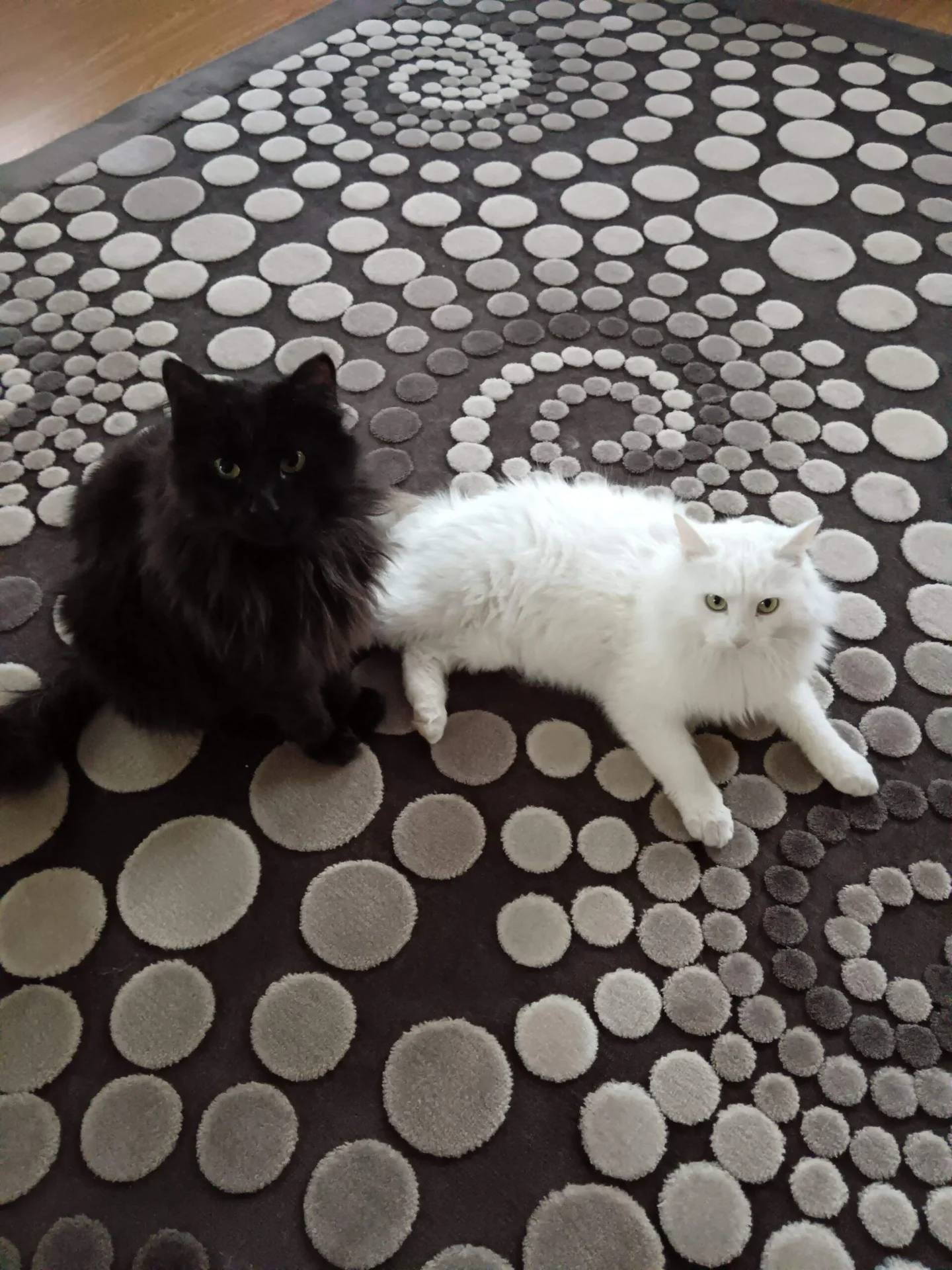 Проект брянской газеты «Красногорская жизнь» «Фотографируют наши читатели»