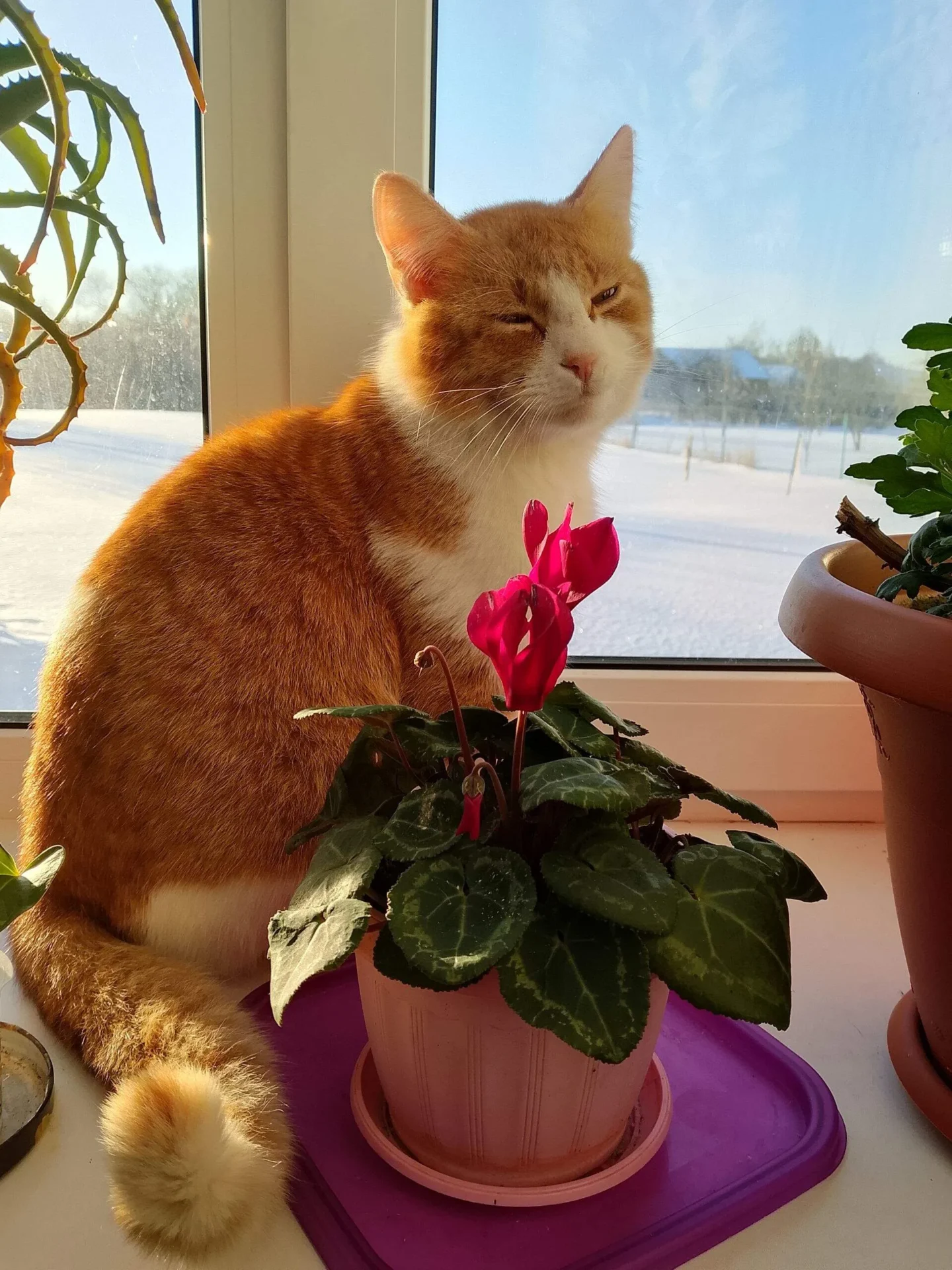 Проект брянской газеты «Красногорская жизнь» «Фотографируют наши читатели»