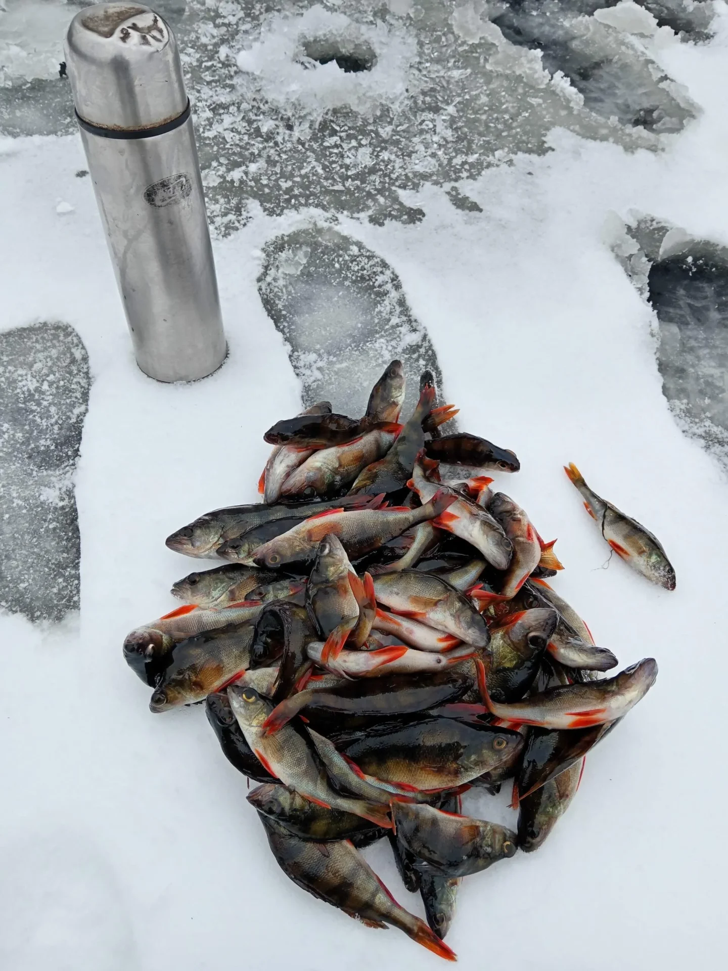 Проект брянской газеты «Красногорская жизнь» «Фотографируют наши читатели»