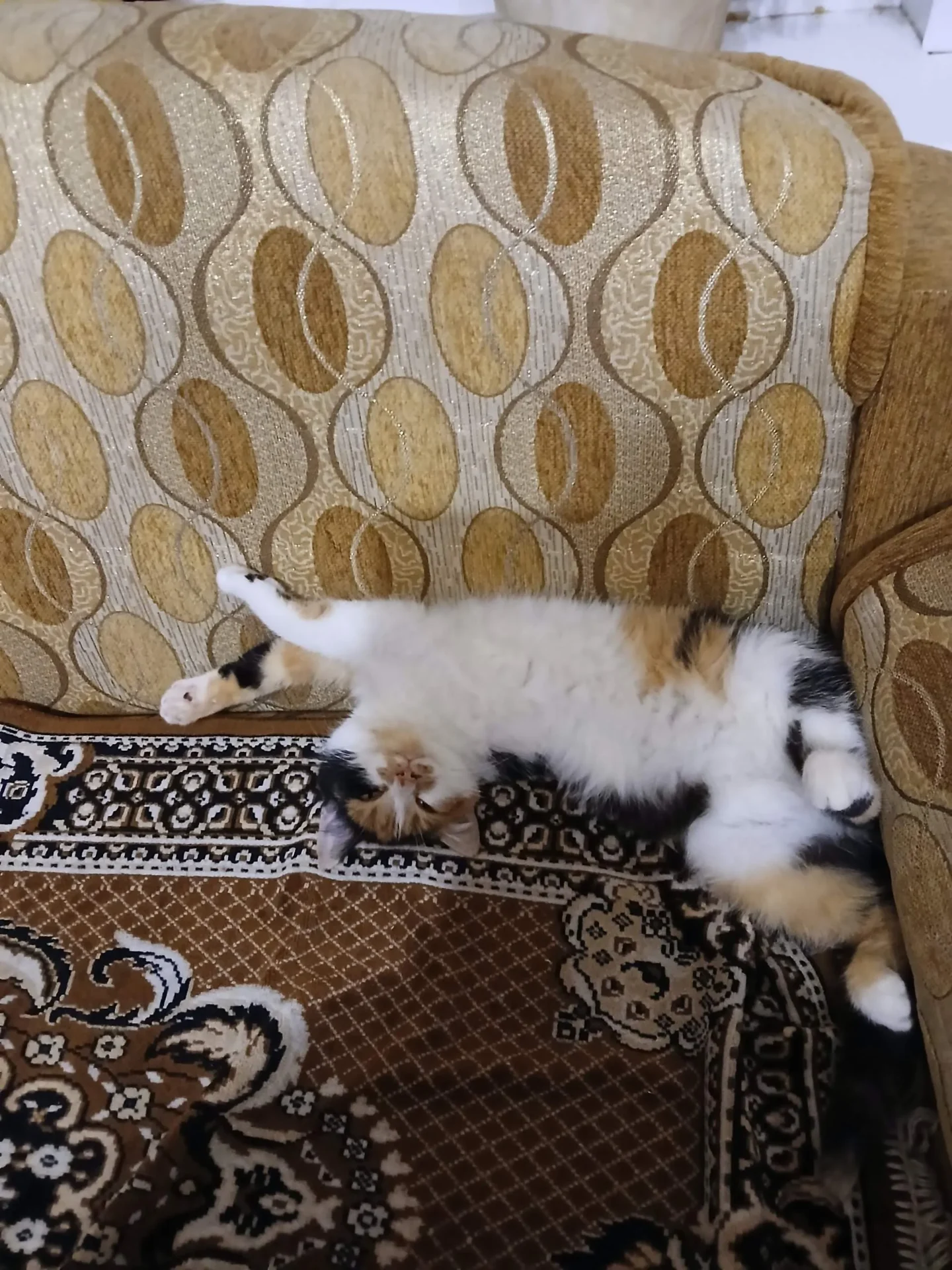 Проект брянской газеты «Красногорская жизнь» «Фотографируют наши читатели»