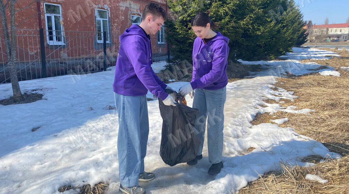 В брянском регионе начали массово наводить чистоту