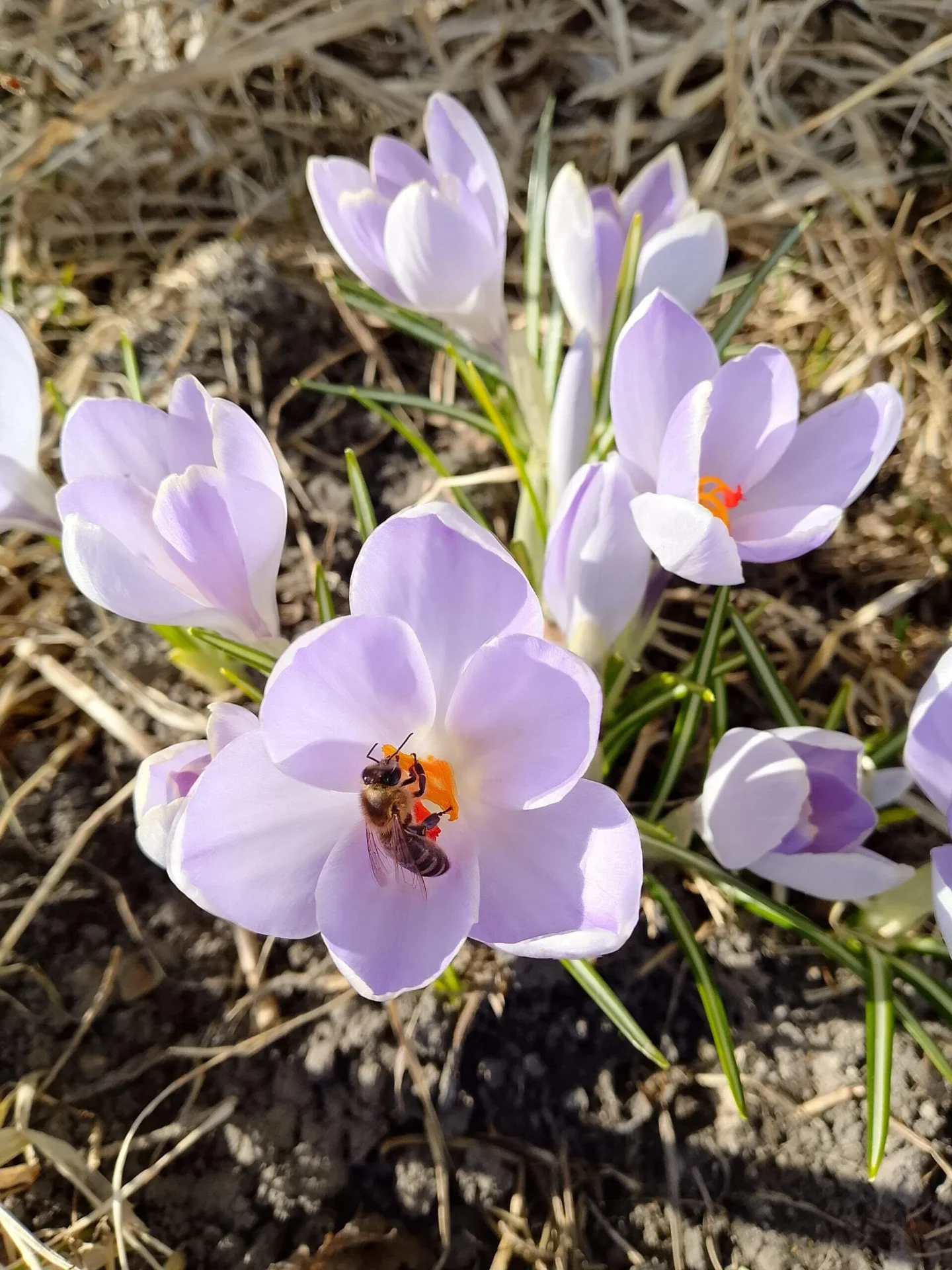 Проект брянской газеты «Красногорская жизнь» «Фотографируют наши читатели»