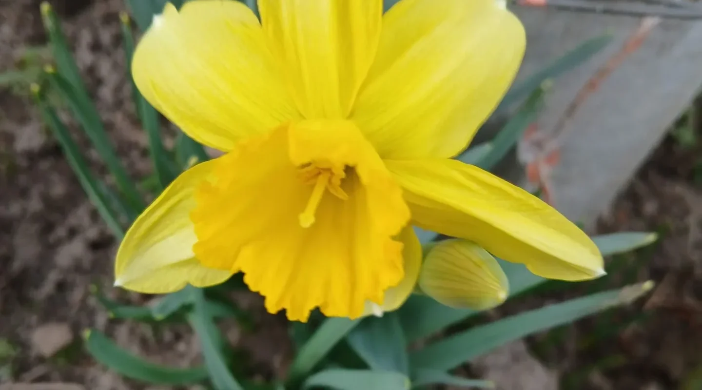 Проект брянской газеты «Красногорская жизнь» «Фотографируют наши читатели»