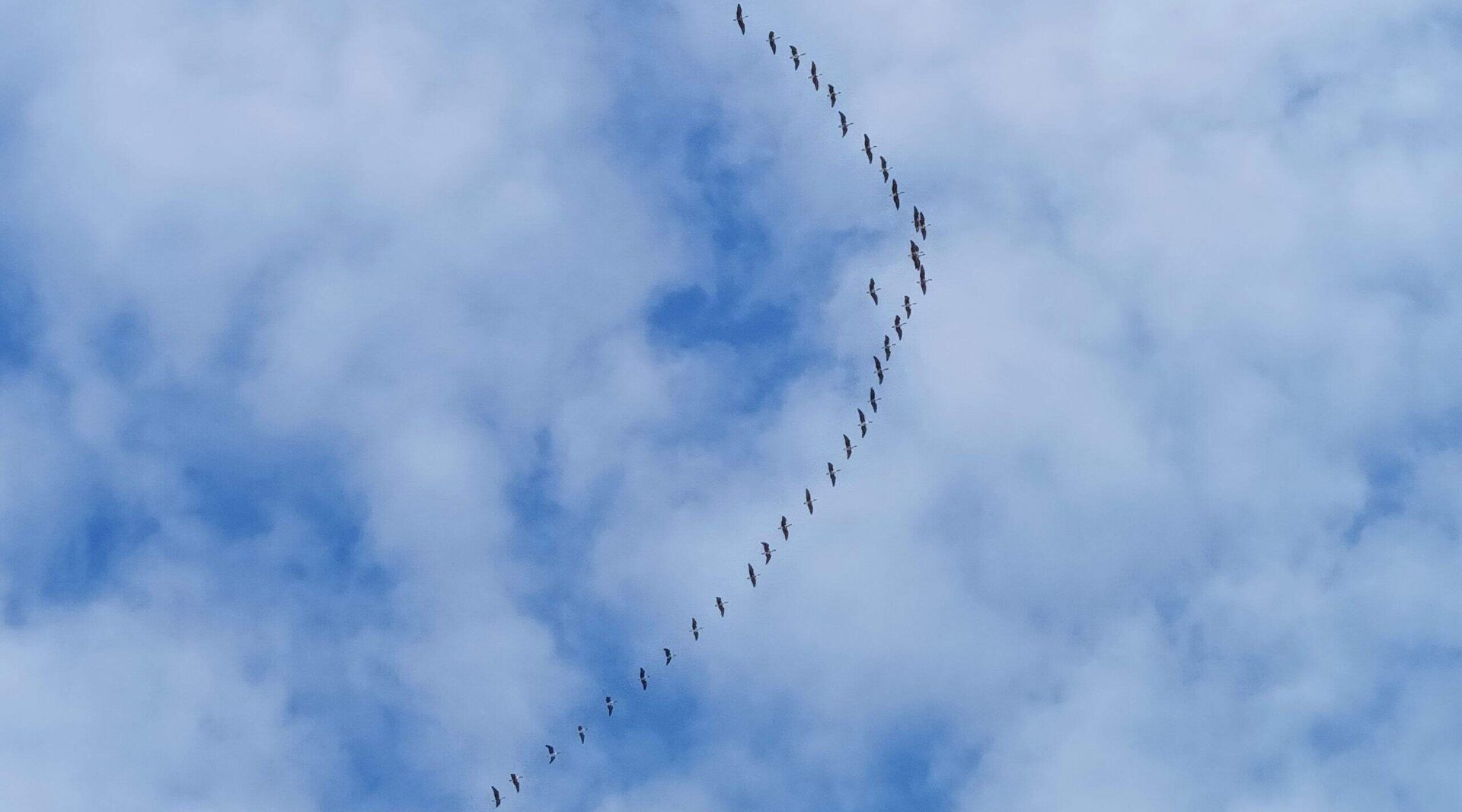 Проект брянской газеты «Красногорская жизнь» «Фотографируют наши читатели»