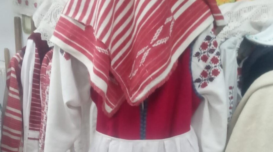 Проект брянской газеты «Красногорская жизнь» «Истоки»