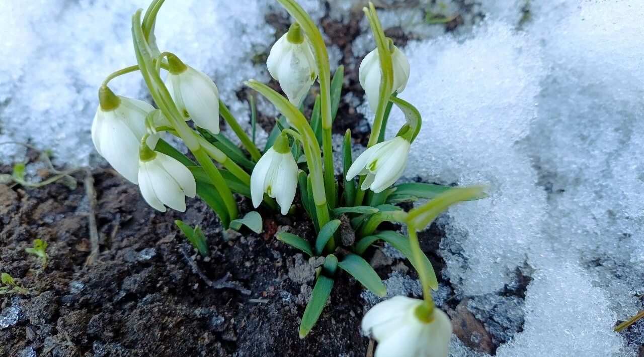Проект брянской газеты «Красногорская жизнь» «Фотографируют наши читатели»